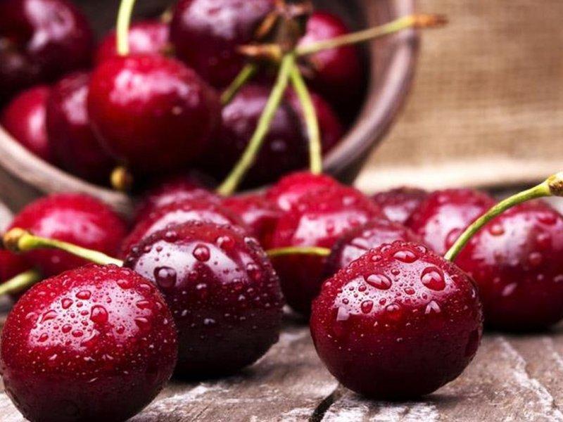 Вишня купить саженцы из питомника в Гудермесе